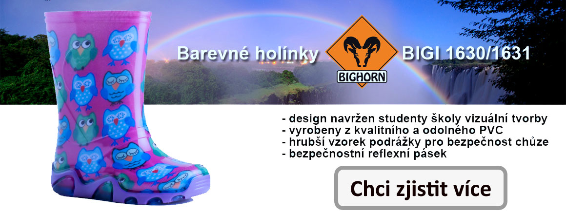 det_holinky_1_d_cz